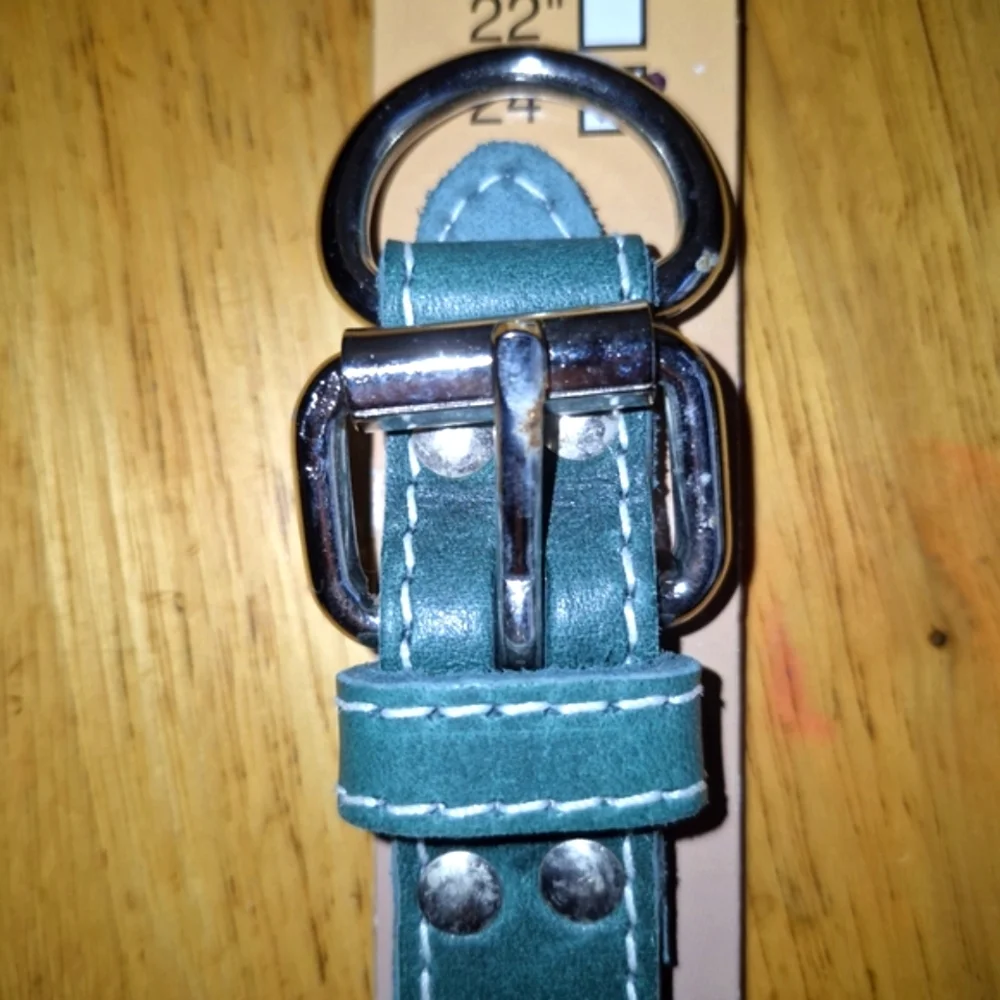 Celebrity‎ Green Dog Collar with Durable Metal Buckle. the buckle has a litt